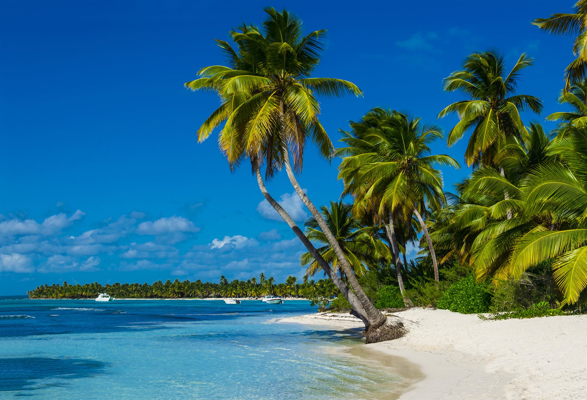Caribbean All-Inclusive Resorts &mdash; Caribbean